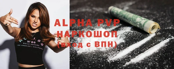 молекула духа Богданович