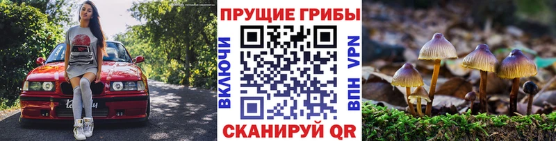 Галлюциногенные грибы Psilocybe  Жуковка 